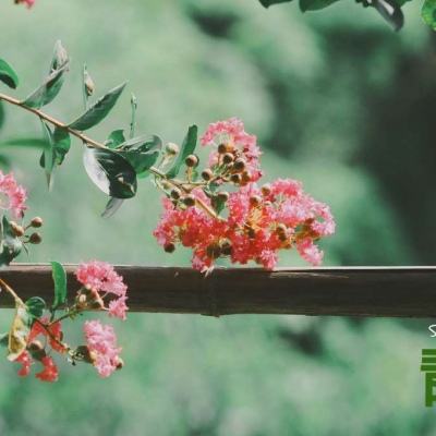 万博manbetx客户端