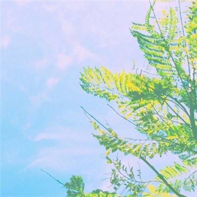 美高梅mgm集团4688